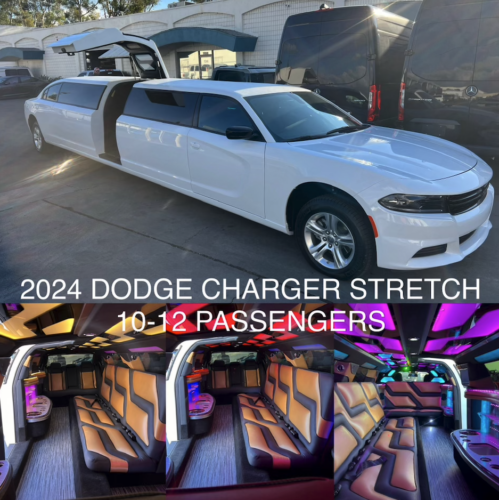 12 seater